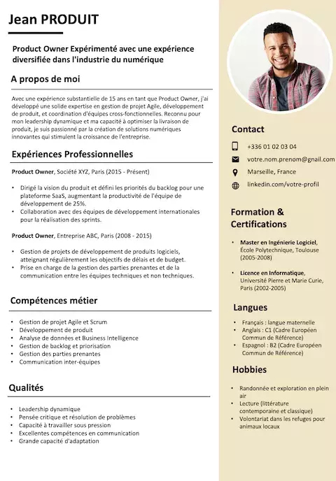 CV Product Owner