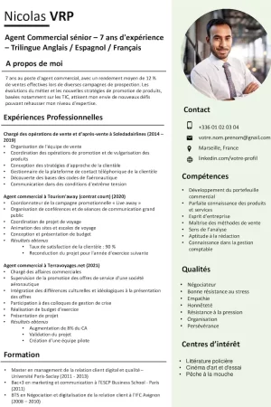 cv-agent-commercial