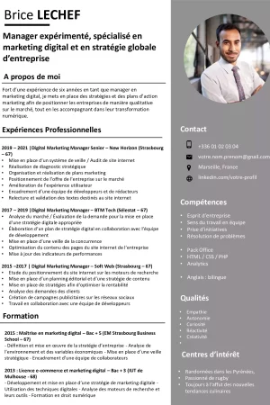 cv-manager