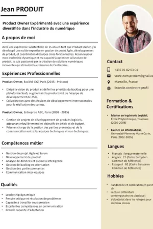 cv-product-owner