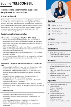 cv-teleconseiller