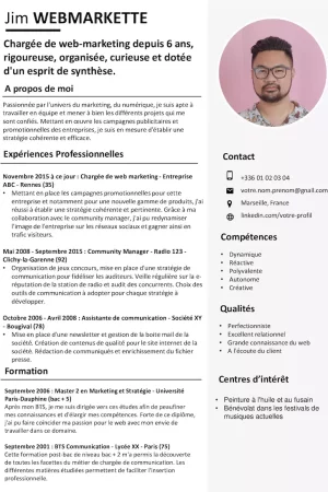 cv-webmarketing