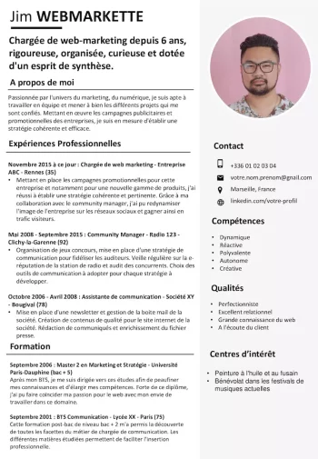 cv-webmarketing